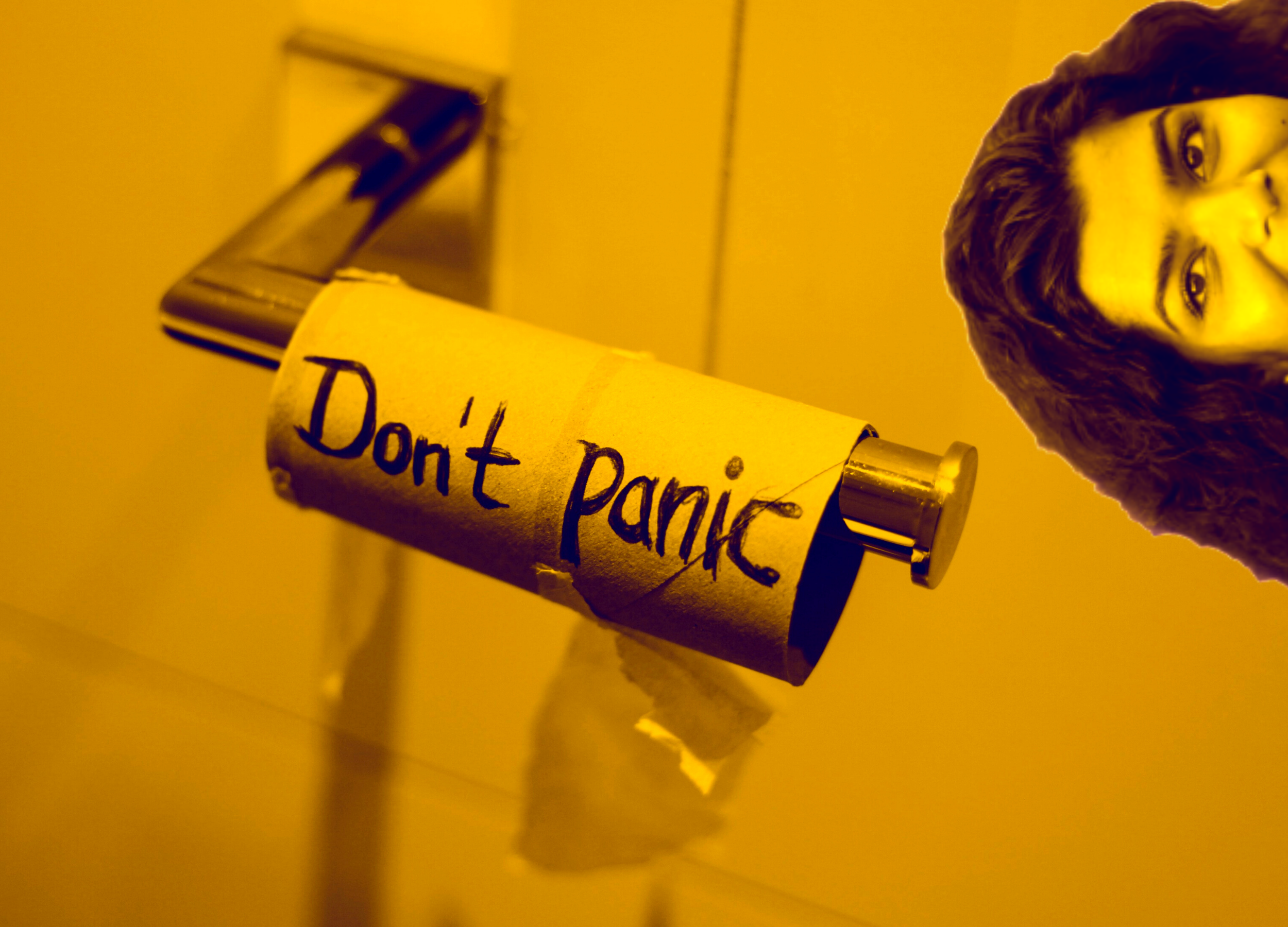 Picture of toilet paper with the words Don't Panic written on the roll