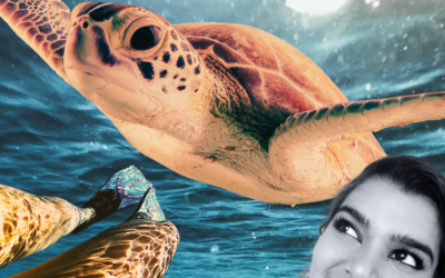 I was a HOT MESS in the Ocean. This Turtle Taught Me How to Swim